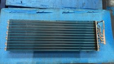 Picture9.jpg